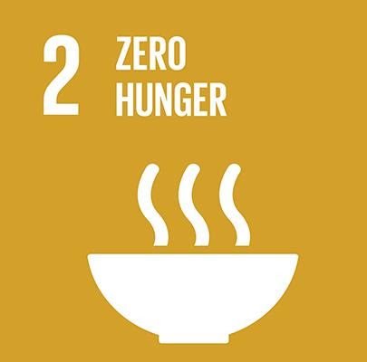 SDG 2 Zero Hunger