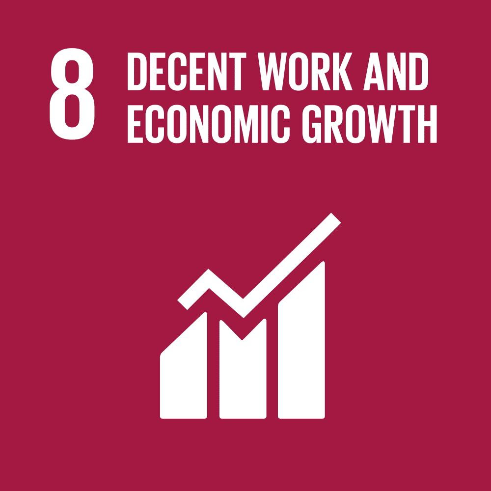 SDG 8 Decent Work and Economic Growth